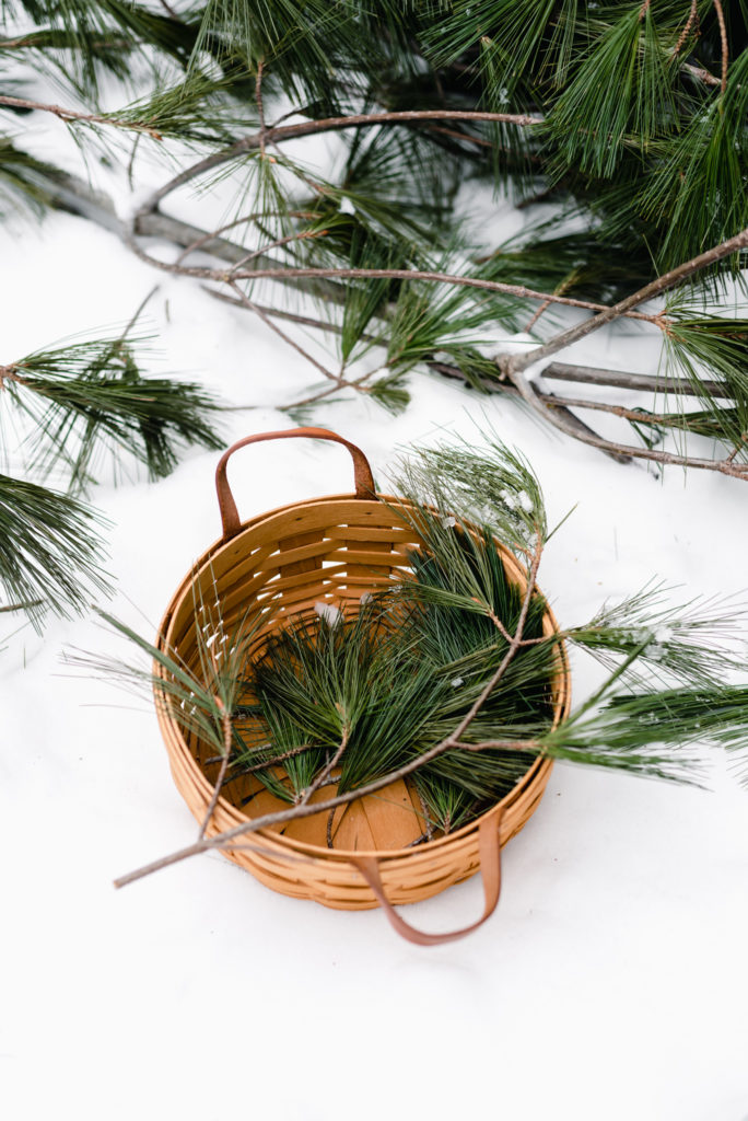 pine branch in woven basket in the snow
