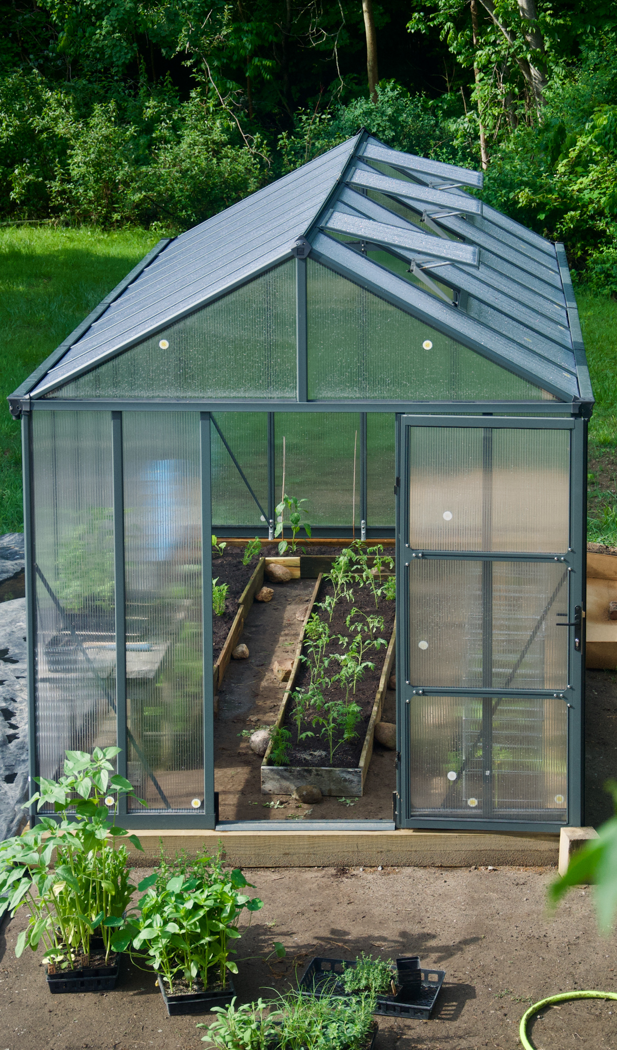 palram greenhouse build