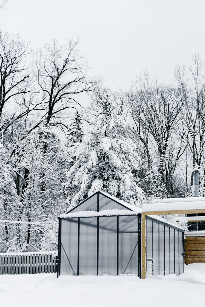 palram glory greenhouse in winter covered in snow