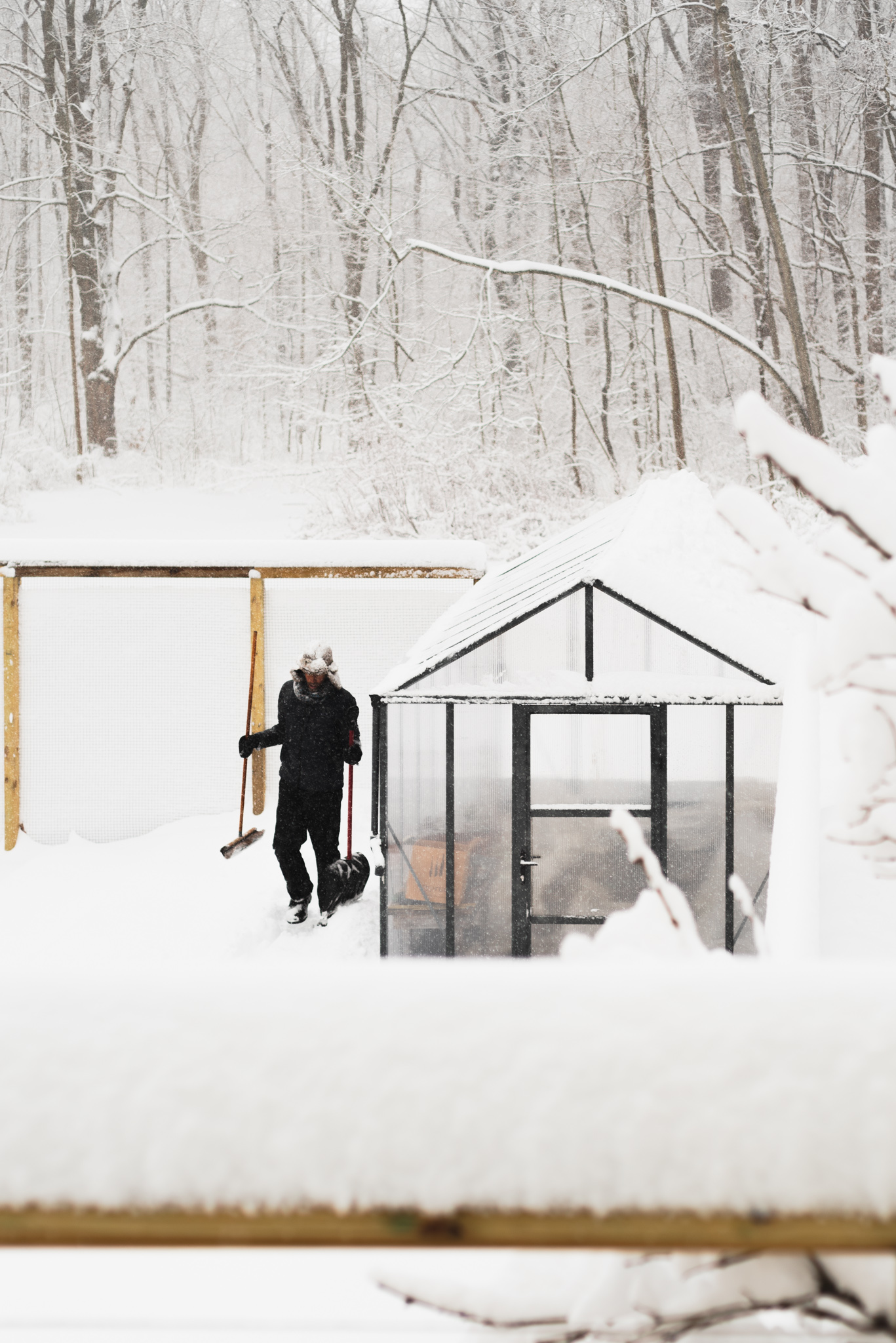 winter greenhouse care palram