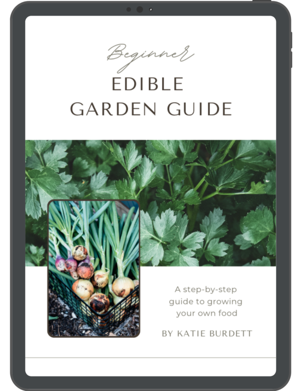 Beginner Edible Garden Cover with Frame