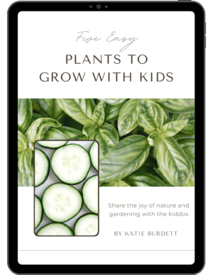 plants to grow with kids cover picture cucumber basil