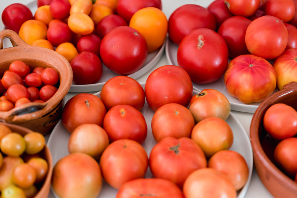 many tomatoes on a countertop ripening