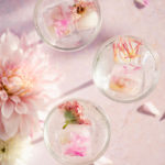 pink edible flowers in three glasses on pink surface with dahlias