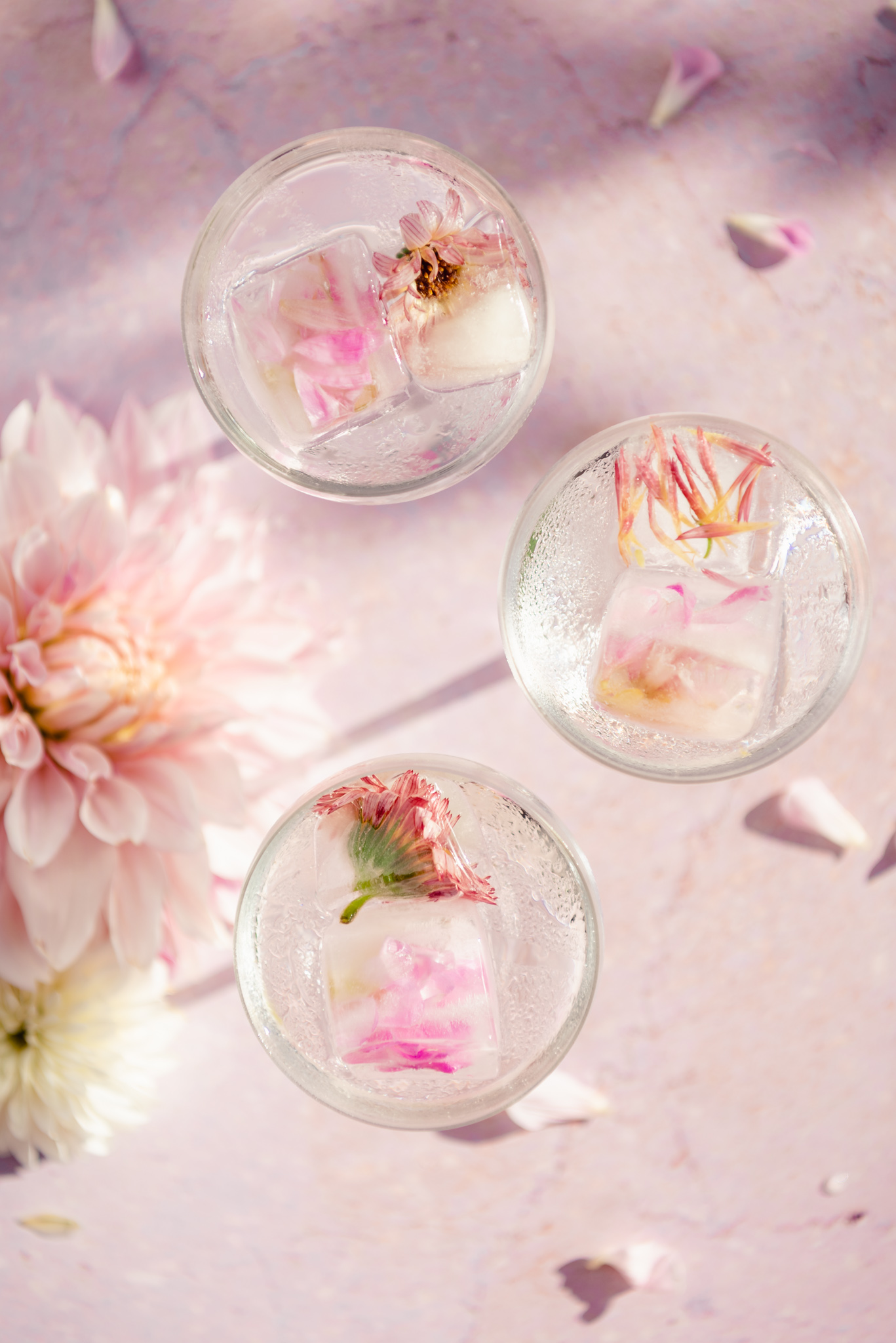 pink edible flowers in three glasses on pink surface with dahlias