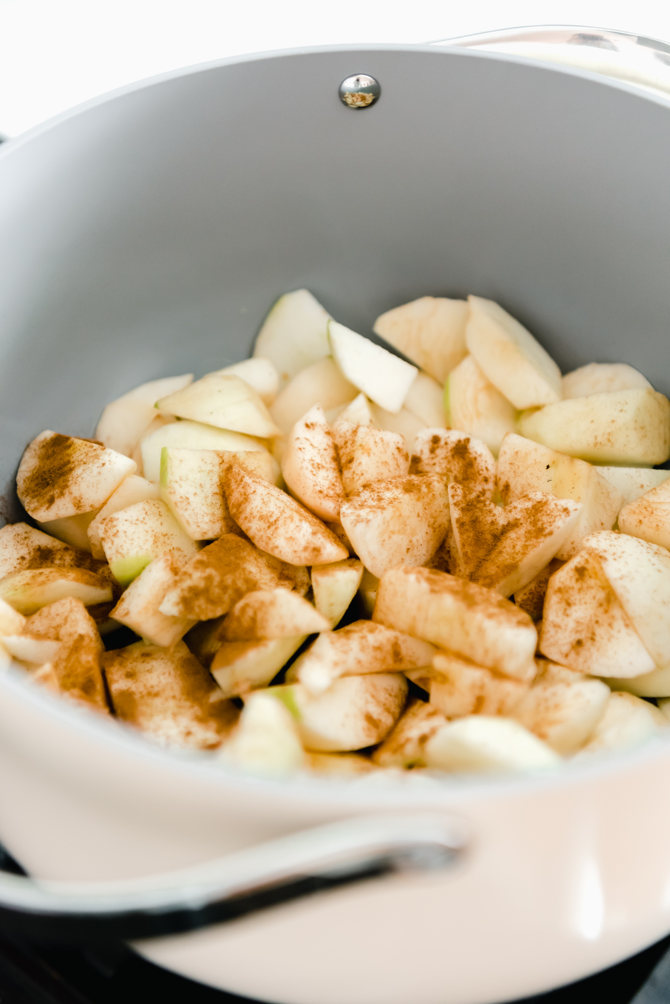 sliced apples with cinnamon in caraway dutch oven
