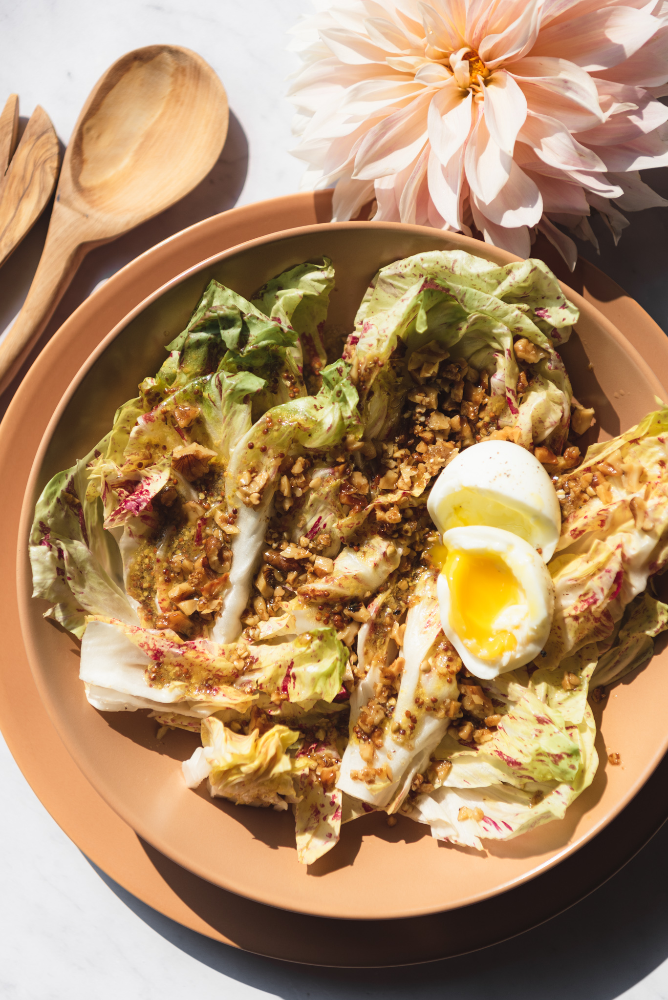 radicchio salad with walnuts and soft boiled egg on terra cotta plate