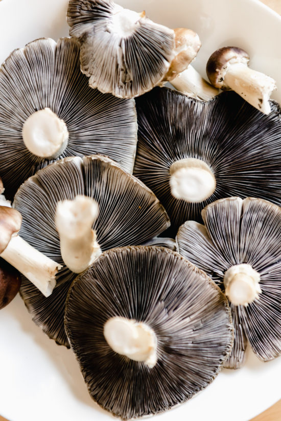 Growing Wine Cap Mushrooms (& How To Use Them) GROWING WITH GERTIE