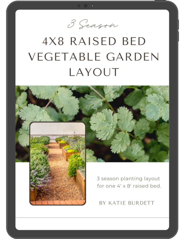 framed cover of 4x8 raised bed vegetable garden layout