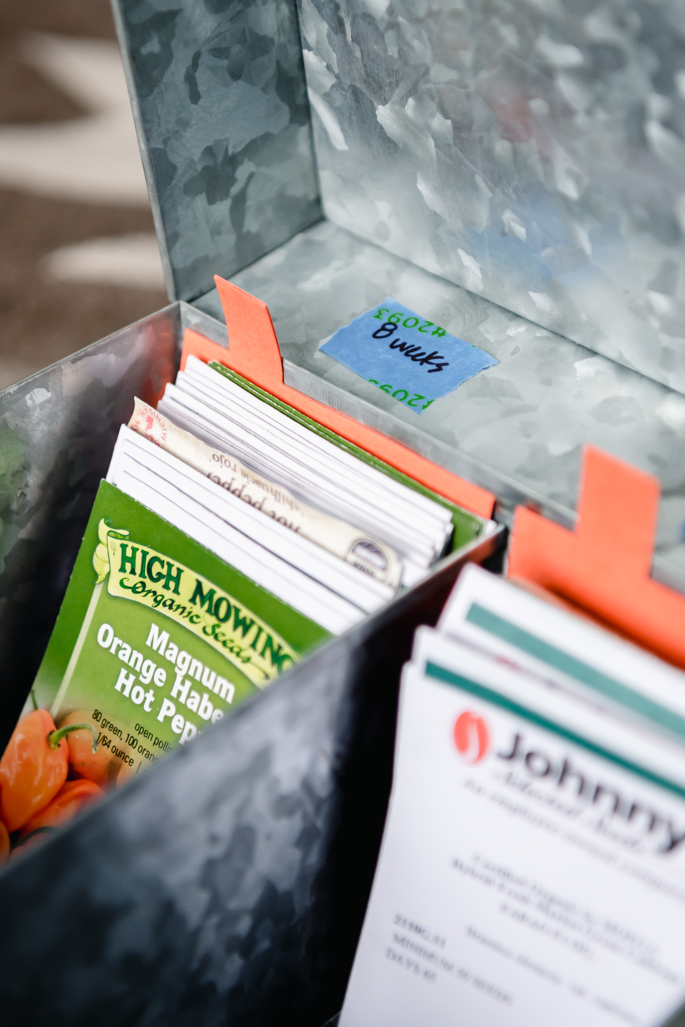 Garden Seed Storage & Organization Tips GROWING WITH GERTIE